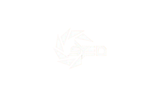 Syed Zain Trad LLC Logo